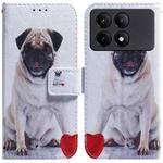 For Xiaomi Redmi K70E / Poco X6 Pro Coloured Drawing Flip Leather Phone Case(Pug)