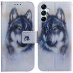For Samsung Galaxy M34 5G/F34 5G Coloured Drawing Flip Leather Phone Case(White Wolf)