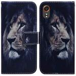 For Samsung Galaxy Xcover7 Coloured Drawing Flip Leather Phone Case(Lion)