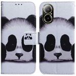 For Realme C67 4G Global Coloured Drawing Flip Leather Phone Case(Panda)