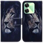 For Realme C61 / C63 / Note 60 Coloured Drawing Flip Leather Phone Case(Lion)