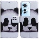 For OPPO F25 Pro 5G Global Coloured Drawing Flip Leather Phone Case(Panda)