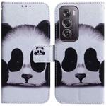 For OPPO Reno12 Pro 5G Global Coloured Drawing Flip Leather Phone Case(Panda)