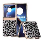 For Motorola Razr 40 Ultra Nano Plating Leopard Print Phone Case(Silver)