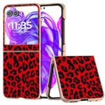 For Motorola Razr 50 Nano Plating Leopard Print Phone Case(Red)