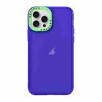 For iPhone 15 Pro Max Color Contrast Lens Frame Transparent TPU Phone Case(Purple + Green)