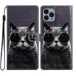 For iPhone 15 Pro Colored Drawing Leather Phone Case(Sunglasses Cat)