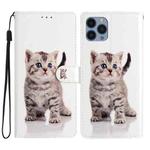 For iPhone 15 Pro Colored Drawing Leather Phone Case(Little Tabby Cat)
