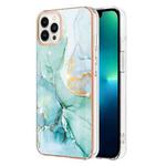 For iPhone 15 Pro Electroplating Marble Pattern Dual-side IMD TPU Shockproof Phone Case(Green 003)