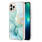 For iPhone 16 Pro Max Electroplating Marble Pattern Dual-side IMD TPU Shockproof Phone Case (Green 003)