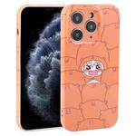 For iPhone 11 Pro Dustproof Net Full Coverage PC Phone Case(Cartoon Character)