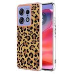 For Motorola Edge 50 Pro Electroplating Marble Dual-side IMD Phone Case(Leopard Print)