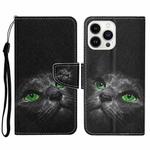 For iPhone 15 Pro Max 3D Colored Drawing Flip Leather Phone Case(Black Cat)