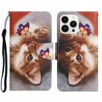 For iPhone 15 Pro Max 3D Colored Drawing Flip Leather Phone Case(Butterfly Cat)