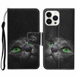 For iPhone 15 Pro 3D Colored Drawing Flip Leather Phone Case(Black Cat)