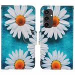 For Samsung Galaxy S24 FE 5G 3D Colored Drawing Flip Leather Phone Case(Daisy)