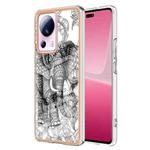 For Xiaomi 13 Lite 5G Electroplating Marble Dual-side IMD Phone Case(Totem Elephant)