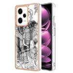 For Xiaomi Redmi Note 12 Pro 5G Global Electroplating Marble Dual-side IMD Phone Case(Totem Elephant)