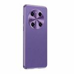 For Huawei Mate 40 Pro Starshine Frosted Series Airbag Shockproof Phone Case(Purple)