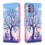 For Nokia G42/G310 Colored Drawing Leather Phone Case(Owl)