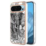 For Google Pixel 9 Electroplating Dual-side IMD Phone Case(Totem Elephant)