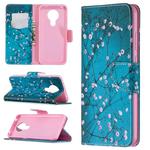 For Nokia 5.3 Colored Drawing Pattern Horizontal Flip Leather Case with Holder & Card Slots & Wallet(Plum Blossom)