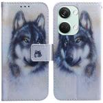 For OnePlus Nord 3 Coloured Drawing Flip Leather Phone Case(White Wolf)