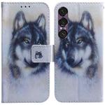 For Sony Xperia 1 VII Coloured Drawing Flip Leather Phone Case(White Wolf)