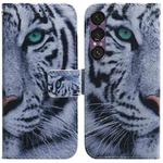 For Sony Xperia 1 VII Coloured Drawing Flip Leather Phone Case(Tiger)