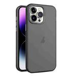 For iPhone 15 Pro Max Frosted Translucent Mist Phone Case(Black)