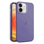 For iPhone 12 Frosted Translucent Mist Phone Case(Dark Purple)