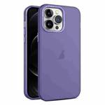 For iPhone 12 Pro Max Frosted Translucent Mist Phone Case(Dark Purple)