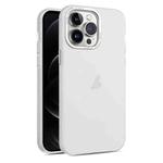 For iPhone 12 Pro Max Frosted Translucent Mist Phone Case(White)