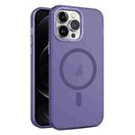 For iPhone 12 Pro Max MagSafe Frosted Translucent Mist Phone Case(Dark Purple)
