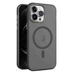 For iPhone 12 Pro Max MagSafe Frosted Translucent Mist Phone Case(Black)