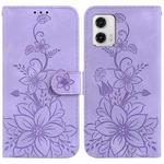 For Motorola Moto G73 Lily Embossed Leather Phone Case(Purple)