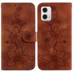 For Motorola Moto G73 Lily Embossed Leather Phone Case(Brown)