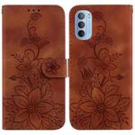 For Motorola Moto G31  / G41 Lily Embossed Leather Phone Case(Brown)