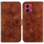 For Motorola Moto G84 Lily Embossed Leather Phone Case(Brown)