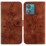 For Motorola Edge 40 Neo Lily Embossed Leather Phone Case(Brown)