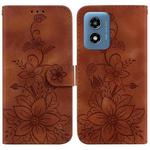 For Motorola Moto G Play 4G 2024 Lily Embossed Leather Phone Case(Brown)