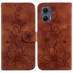 For Motorola Edge 2024 Lily Embossed Leather Phone Case(Brown)