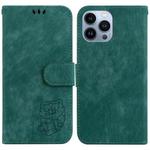 For iPhone 15 Pro Max Little Tiger Embossed Leather Phone Case(Green)