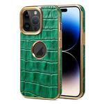 For iPhone 15 Pro Denior Crocodile Texture Genuine Leather Electroplating Phone Case(Green)
