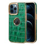 For iPhone 12 Pro Max Denior Crocodile Texture Genuine Leather Electroplating Phone Case(Green)