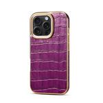 For iPhone 16 Pro Max Denior Crocodile Texture Genuine Leather Electroplating Phone Case(Purple)