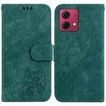 For Motorola Moto G84 Little Tiger Embossed Leather Phone Case(Green)