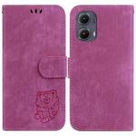 For Motorola Edge 2024 Little Tiger Embossed Leather Phone Case(Rose Red)