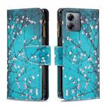 For Motorola Moto G14 4G Colored Drawing Pattern Zipper Leather Phone Case(Plum Blossom)