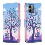 For Motorola Moto G14 4G Colored Drawing Pattern Leather Phone Case(Owl)